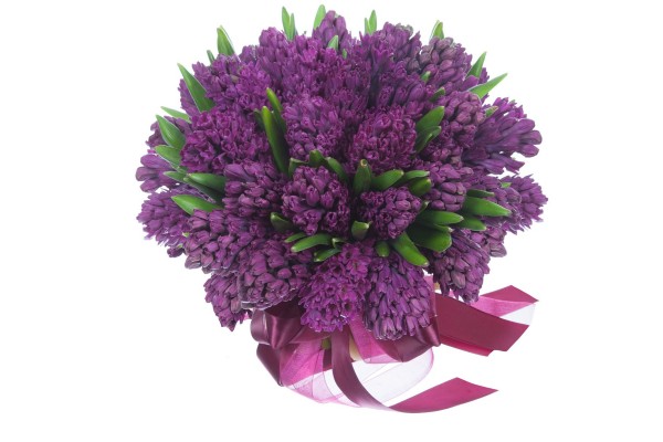 Букет из uиацинтов Woodstock